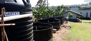 Hdpe Geomembrane 1mm Damliner/Pond Liners