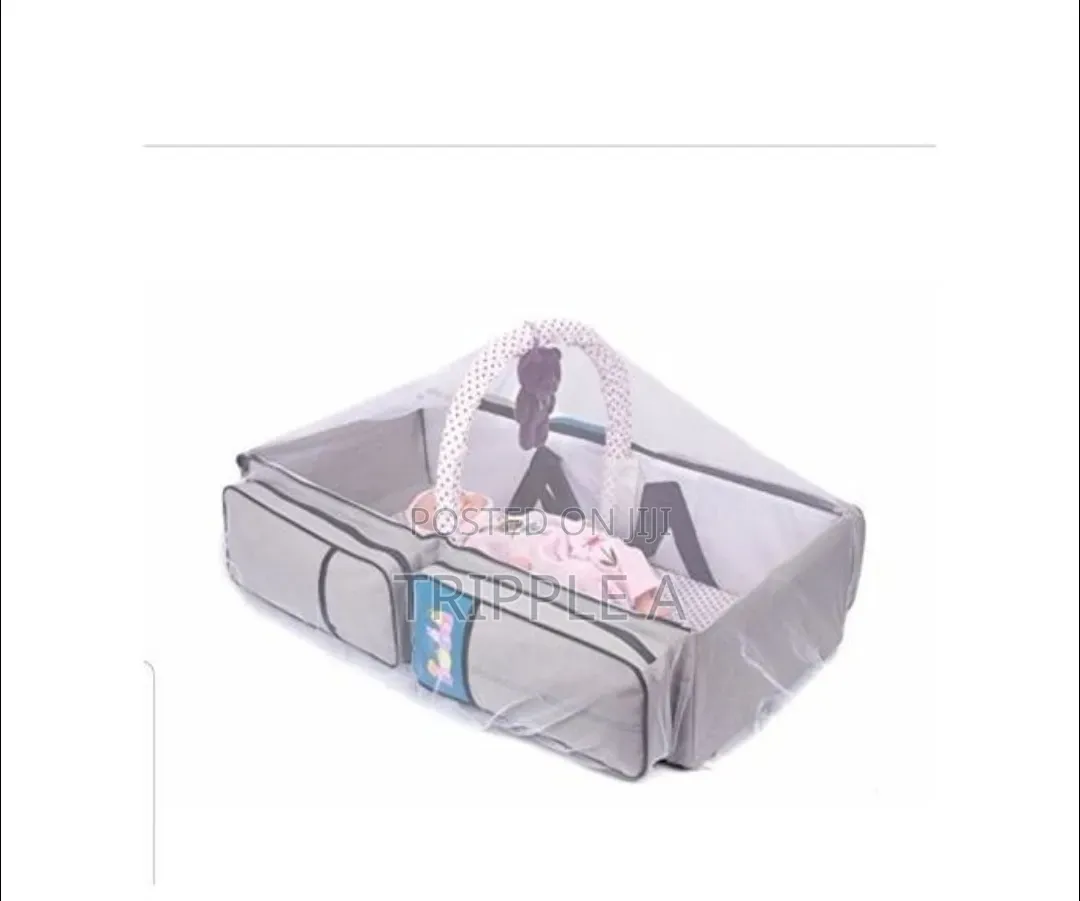 2 In 1 Portable Bag And Bed