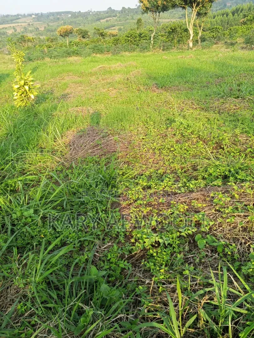 Cheap Plots On Mityana Road