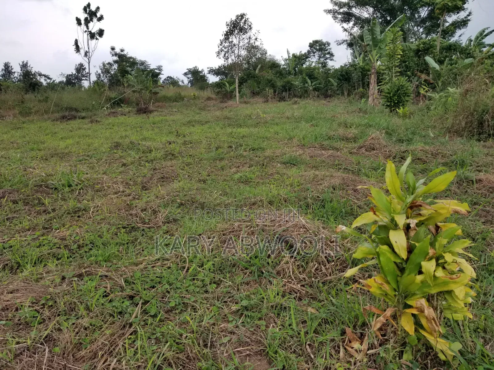Cheap Plots On Mityana Road