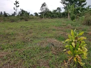 Cheap Plots On Mityana Road