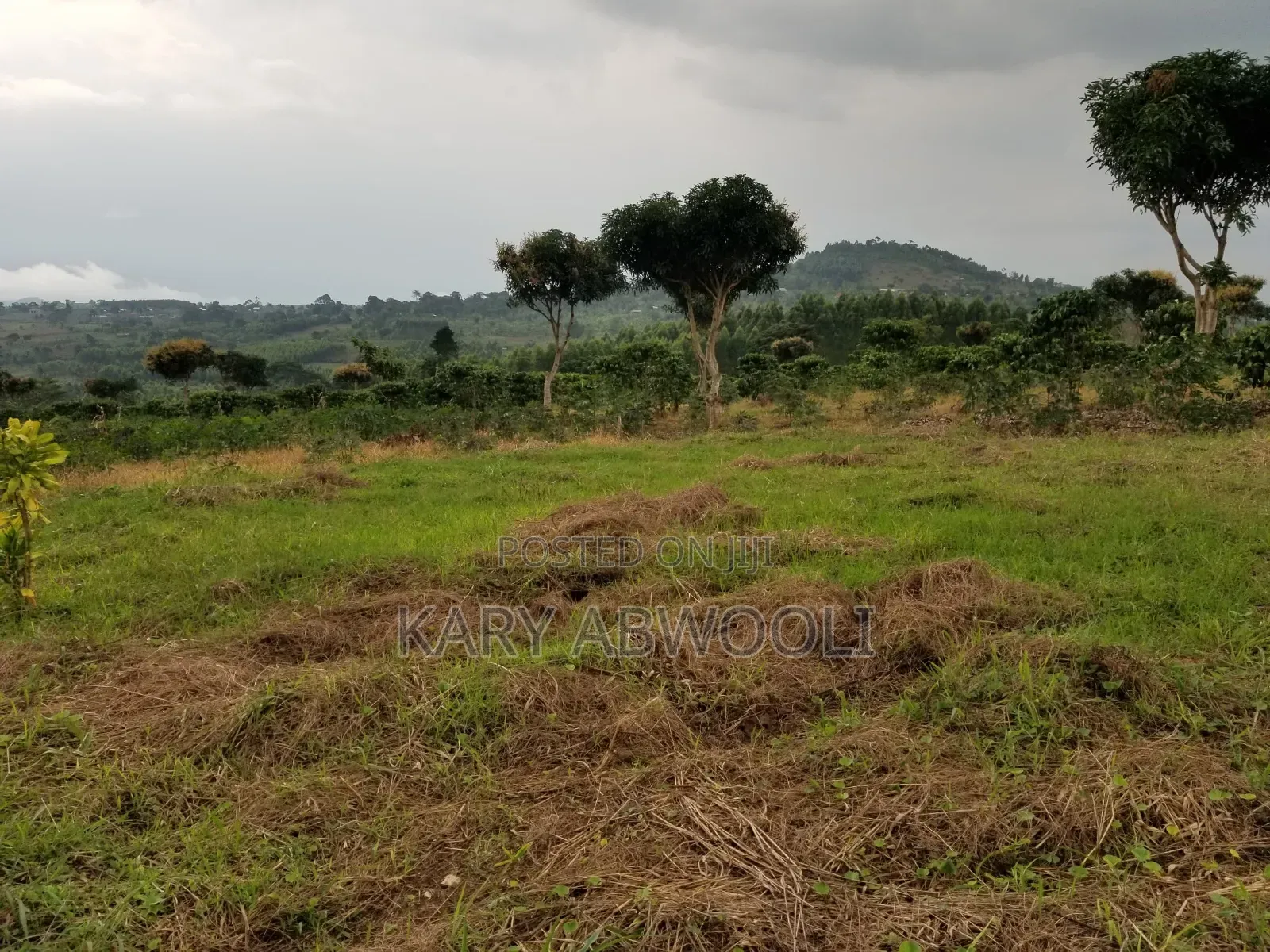 Cheap Plots On Mityana Road