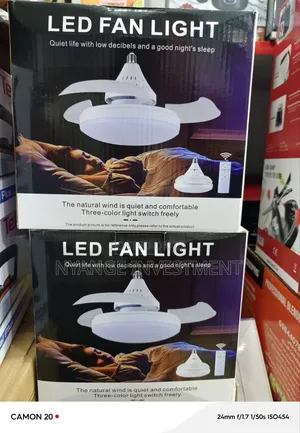 Fan Light.