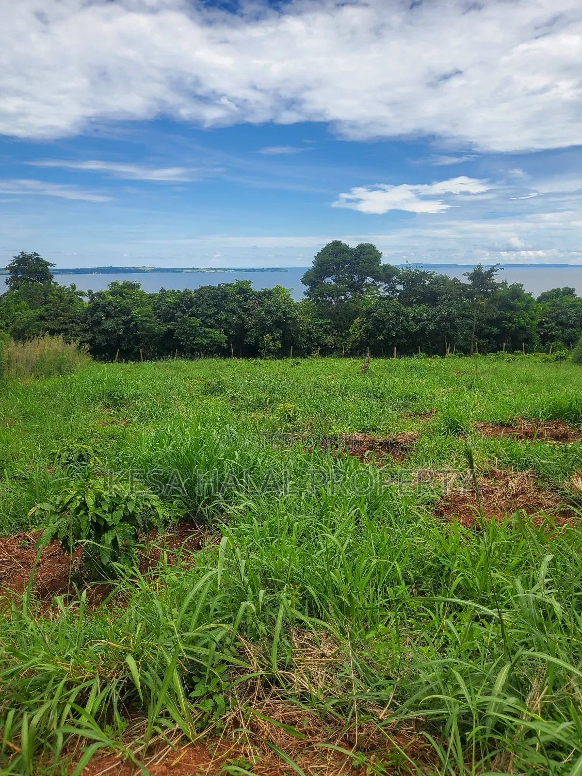 Lake View 1.72 Acres at Gaba Buyikwe All Goes for 40m Only.