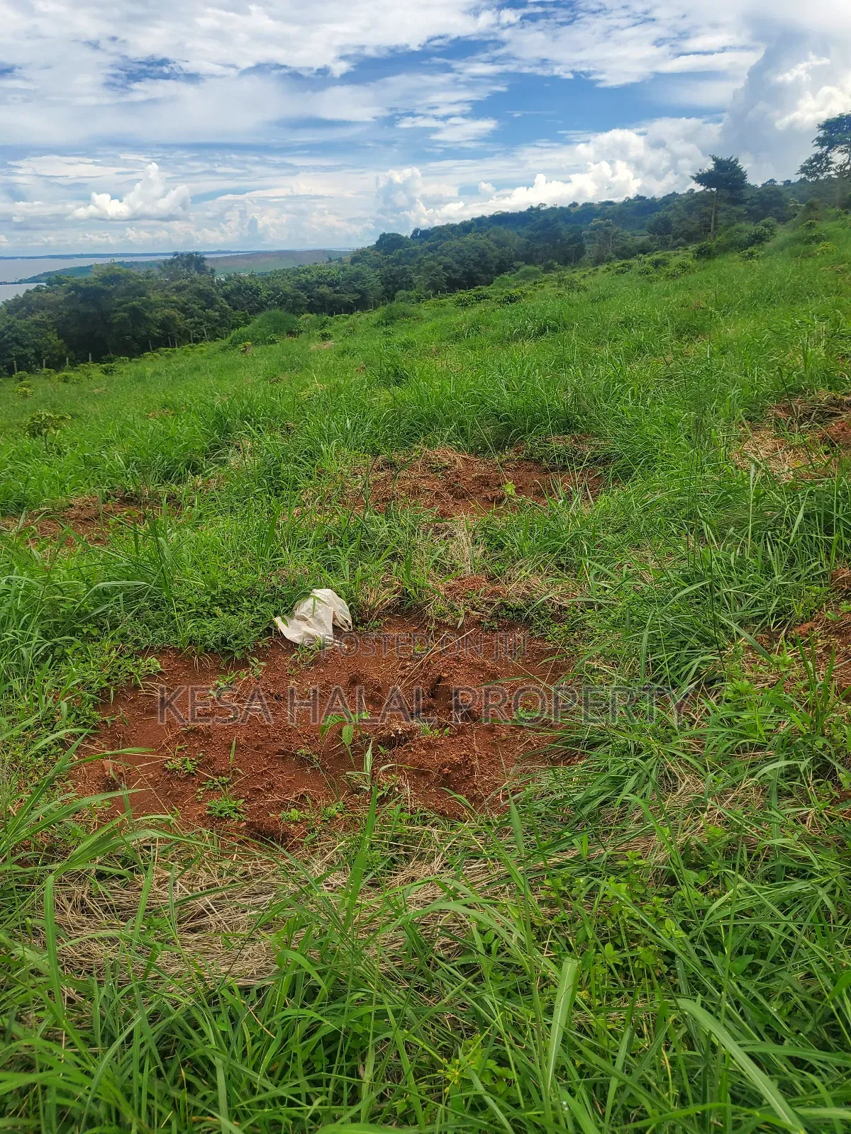 Lake View 1.72 Acres at Gaba Buyikwe All Goes for 40m Only.