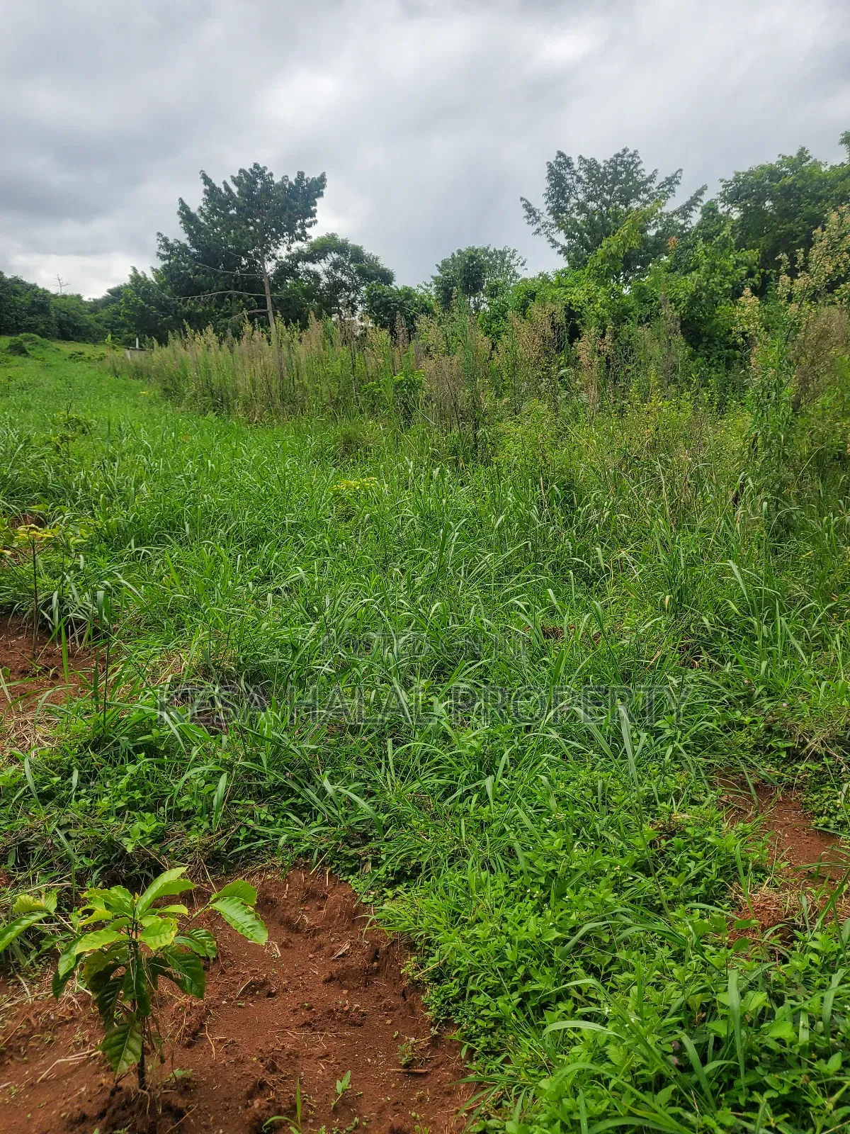 Lake View 1.72 Acres at Gaba Buyikwe All Goes for 40m Only.