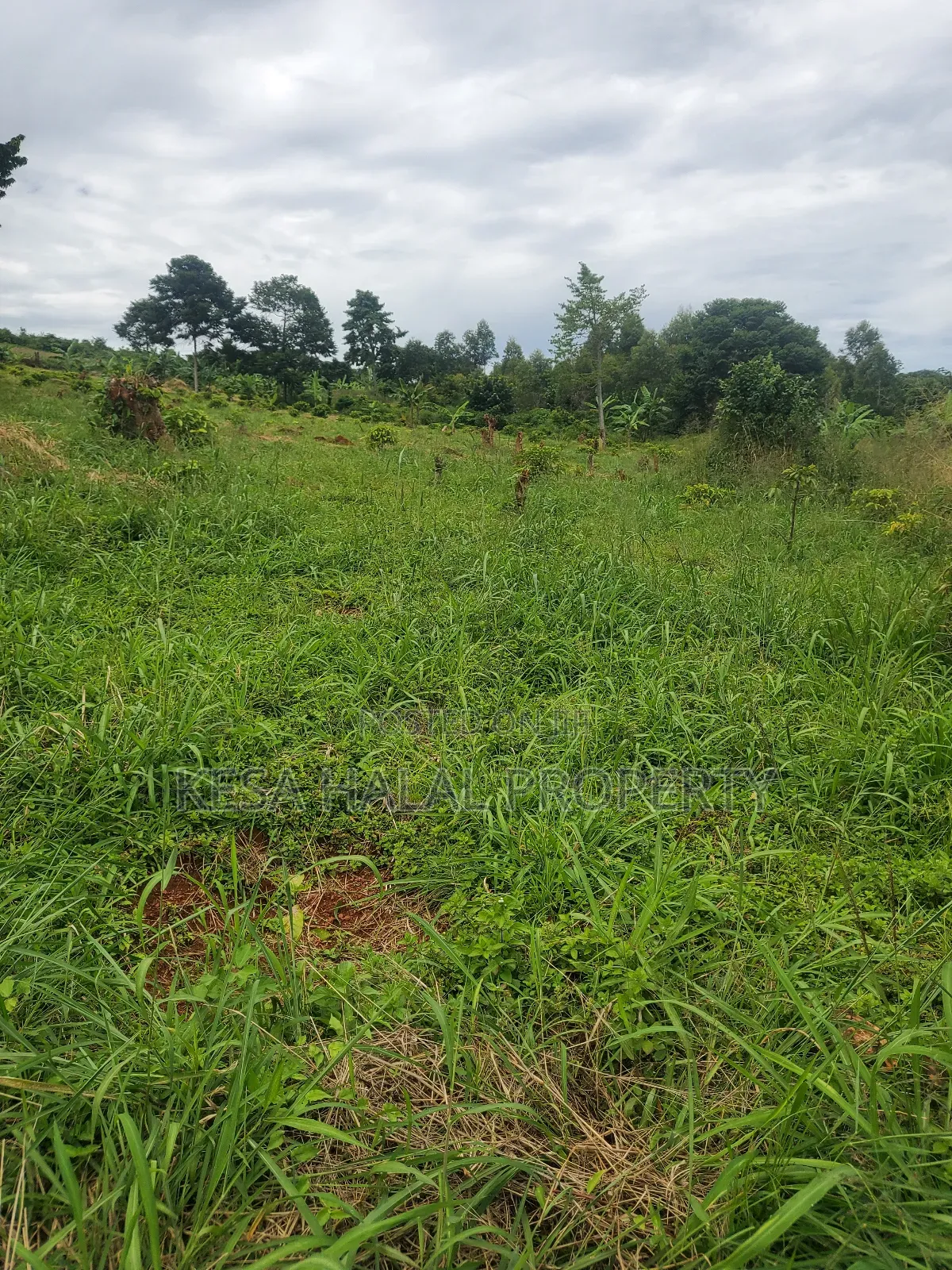 Lake View 1.72 Acres at Gaba Buyikwe All Goes for 40m Only.