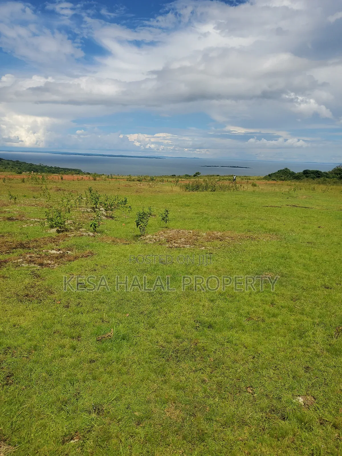 Fantastic View 3.7 Acres for Sale at Buikwe Just 35m Per Acre