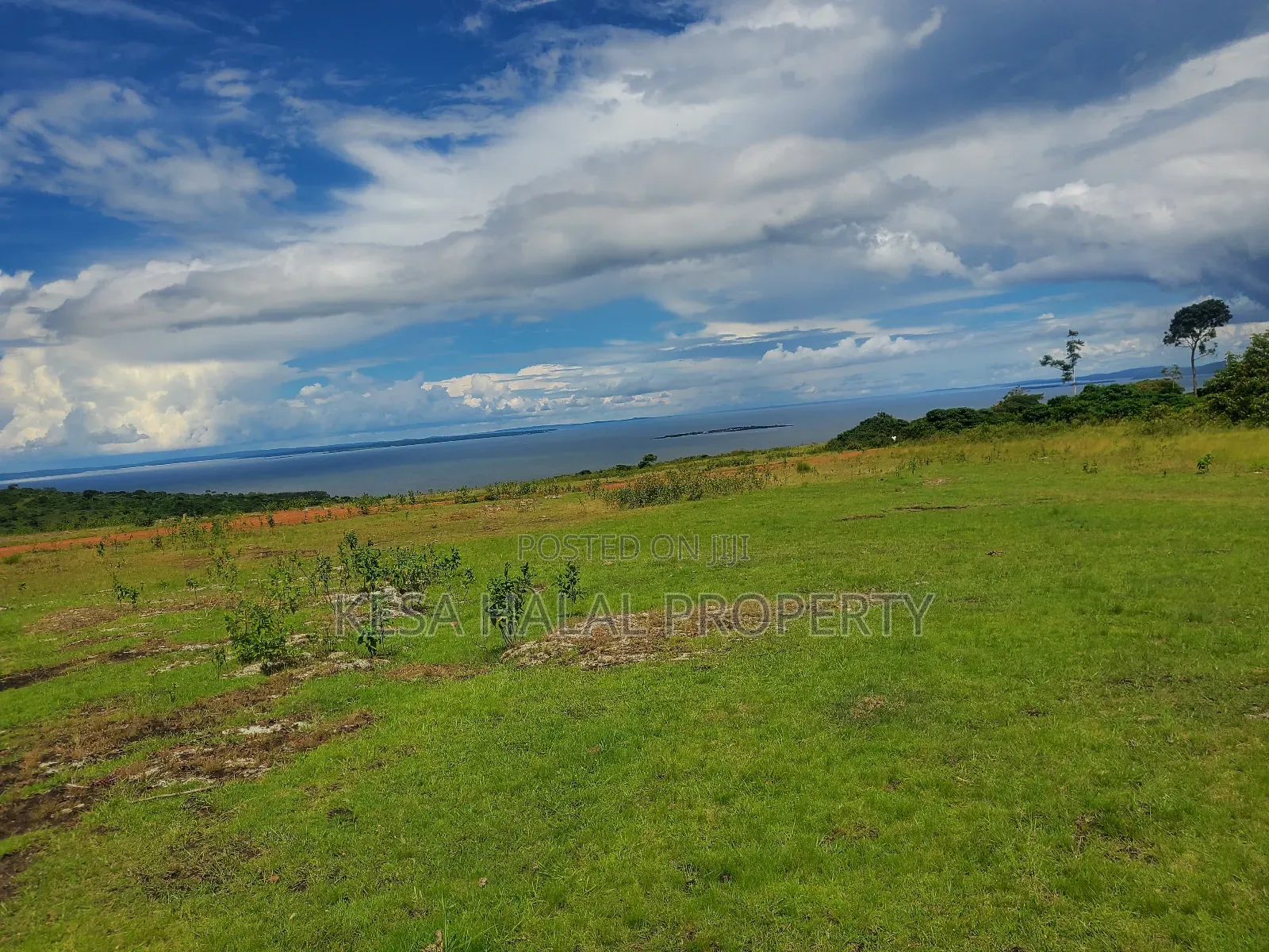 Fantastic View 3.7 Acres for Sale at Buikwe Just 35m Per Acre