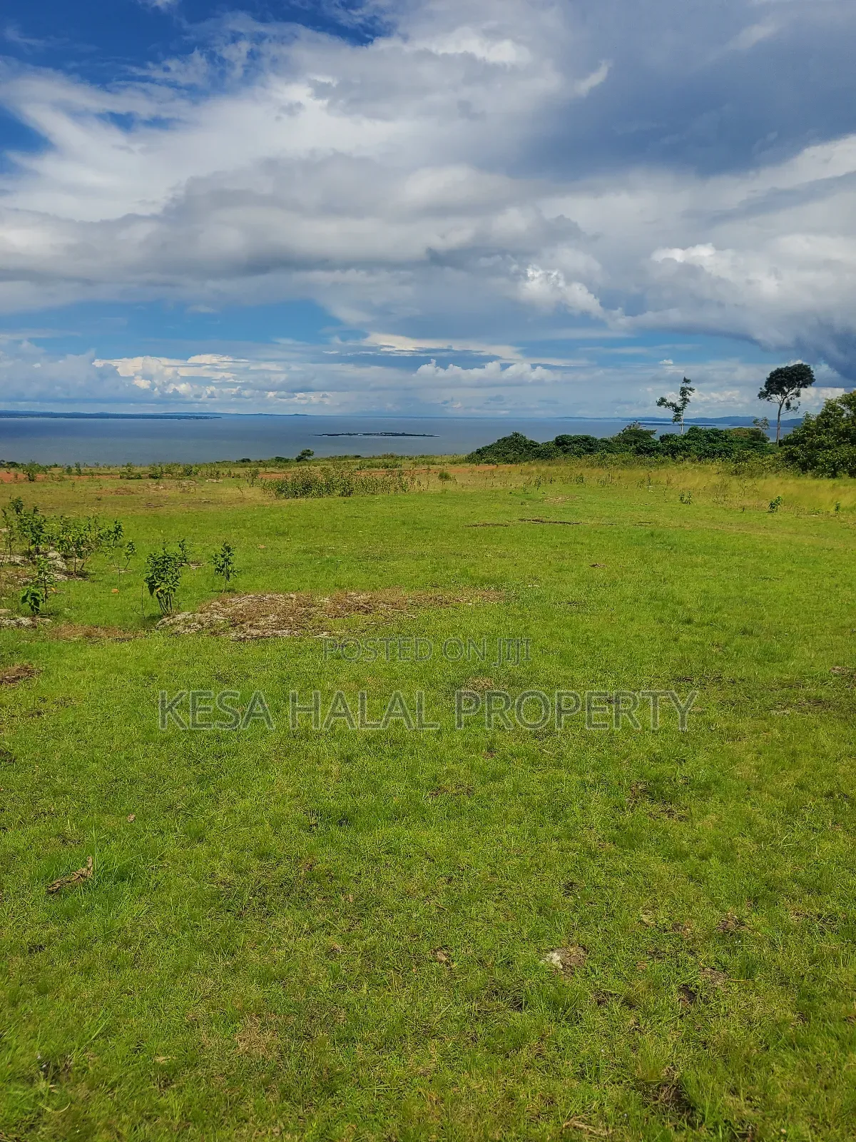 Fantastic View 3.7 Acres for Sale at Buikwe Just 35m Per Acre