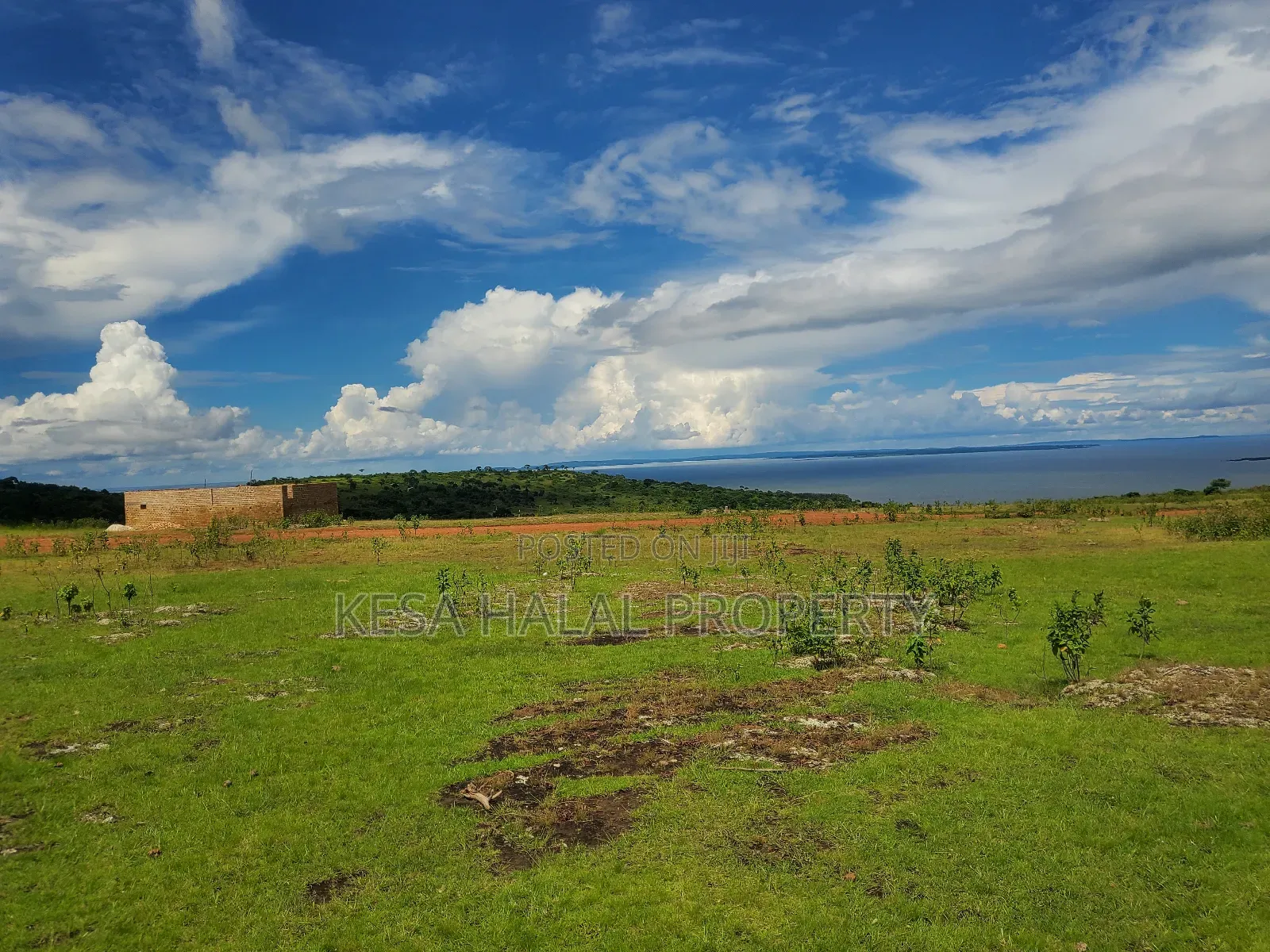 Fantastic View 3.7 Acres for Sale at Buikwe Just 35m Per Acre