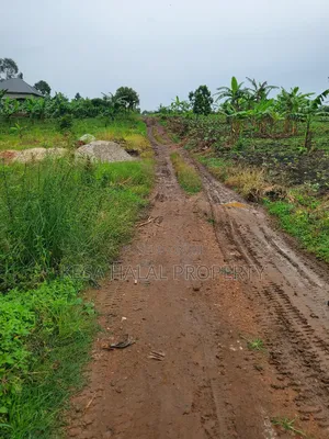 1.7 Acre Good Kisenyi Land Here at Kabonge 2km Off Bombo Rd All 50m