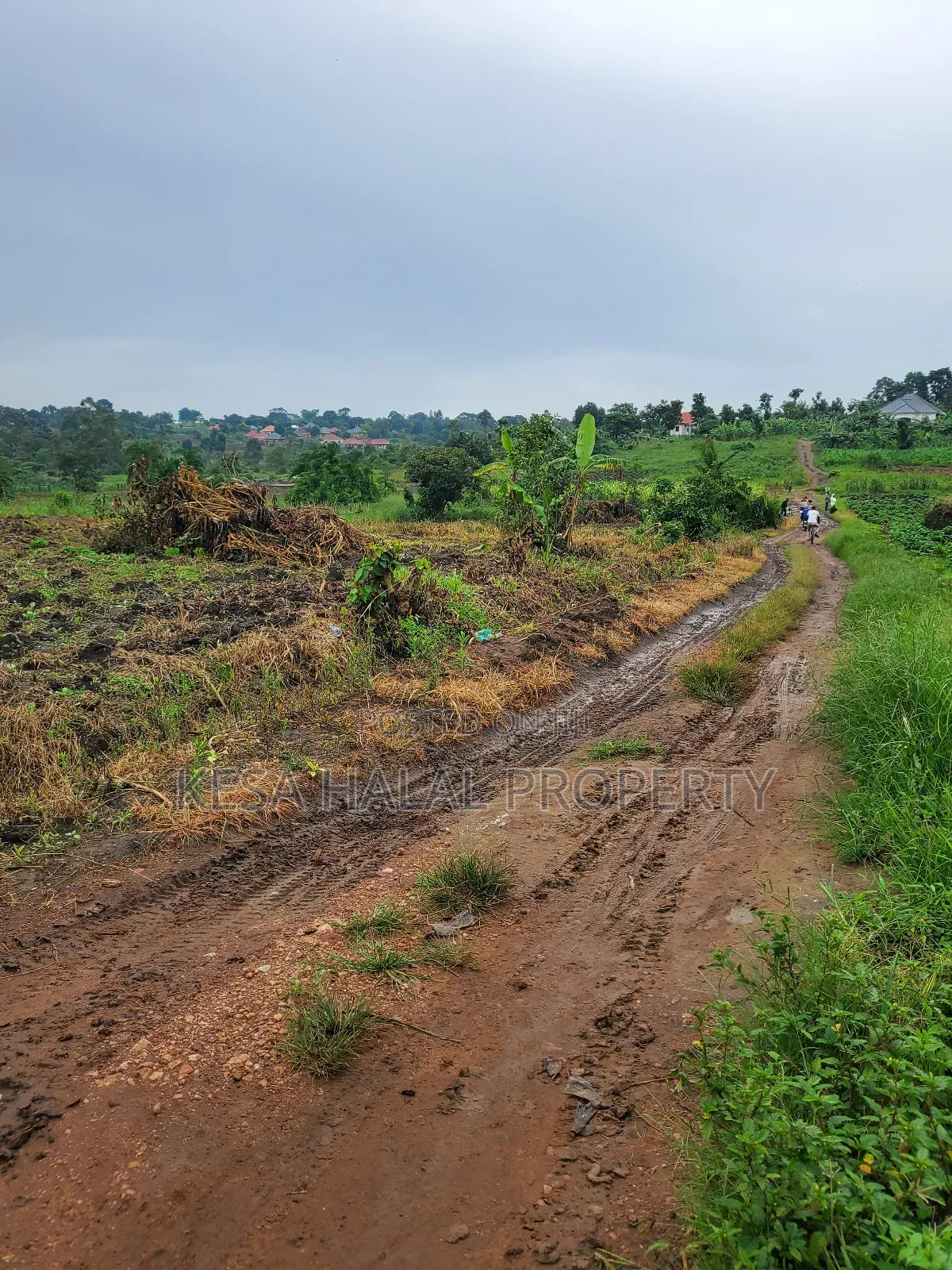 1.7 Acre Good Kisenyi Land Here at Kabonge 2km Off Bombo Rd All 50m