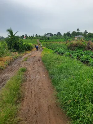 1.7 Acre Good Kisenyi Land Here at Kabonge 2km Off Bombo Rd All 50m