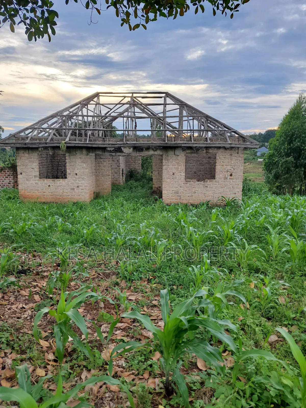 Good Land 1.37 Acre All 60m