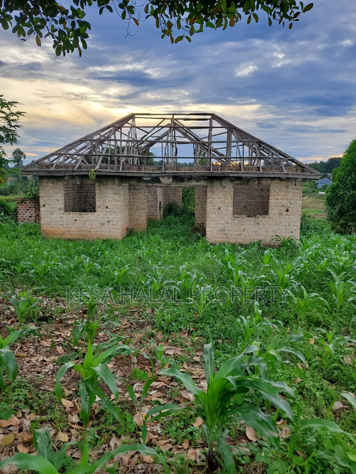 Good Land 1.37 Acre All 60m