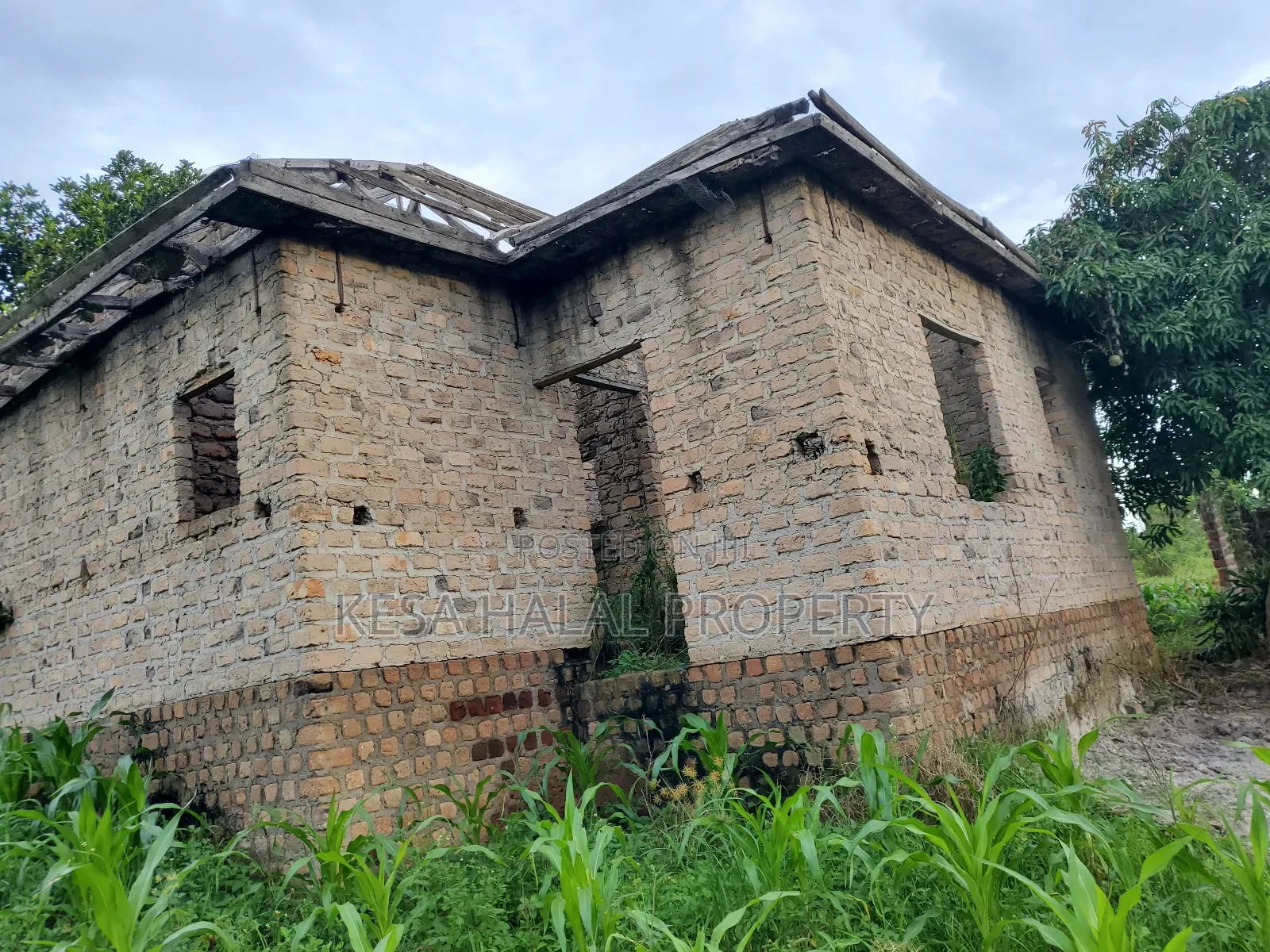 Good Land 1.37 Acre All 60m