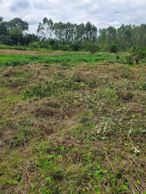 Kisenyi Land Titled on Semuto Road