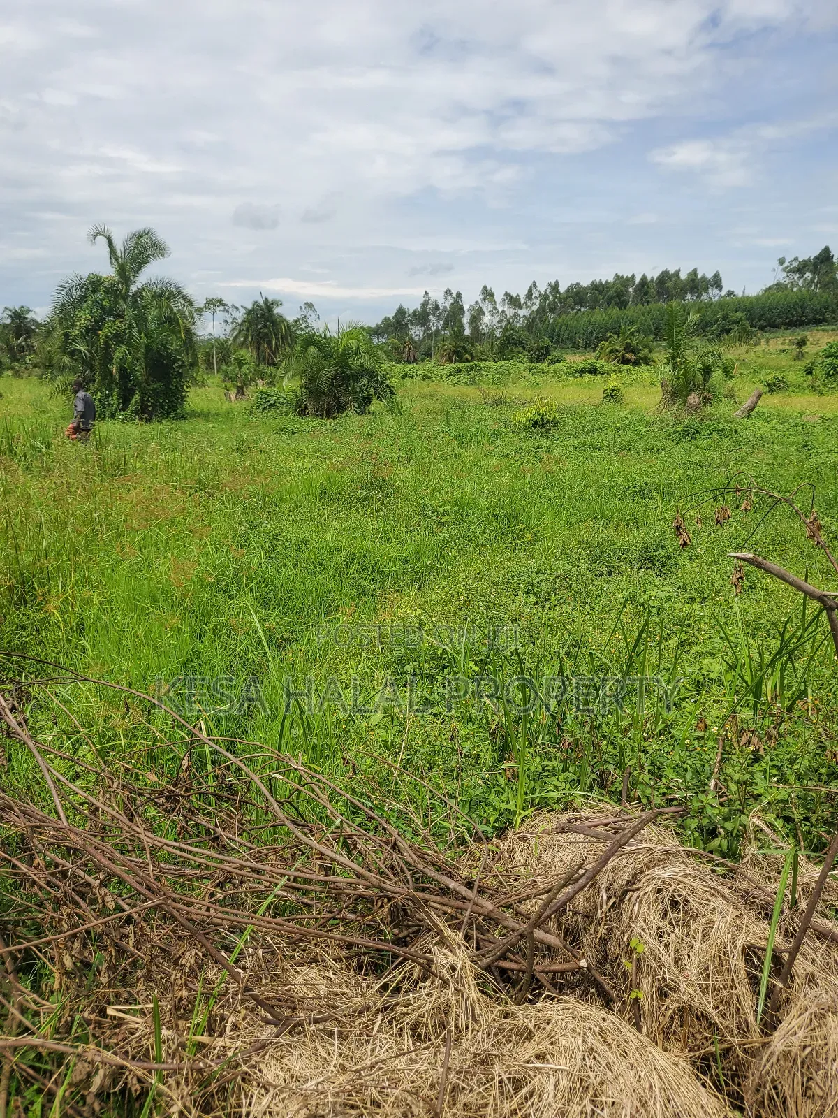 Kisenyi Land Titled on Semuto Road