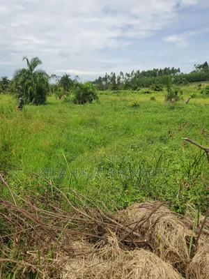 Kisenyi Land Titled on Semuto Road
