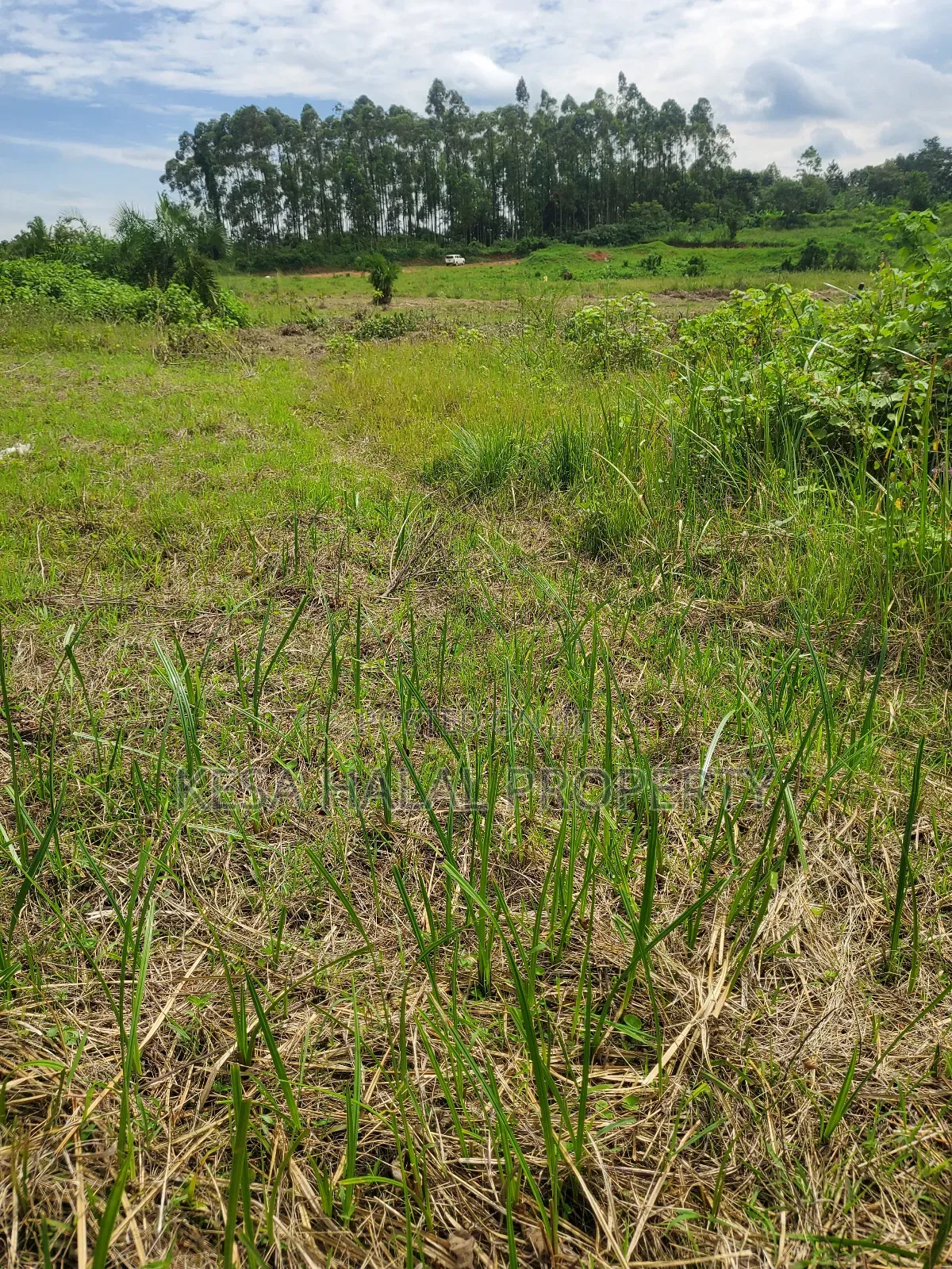 Kisenyi Land Titled on Semuto Road