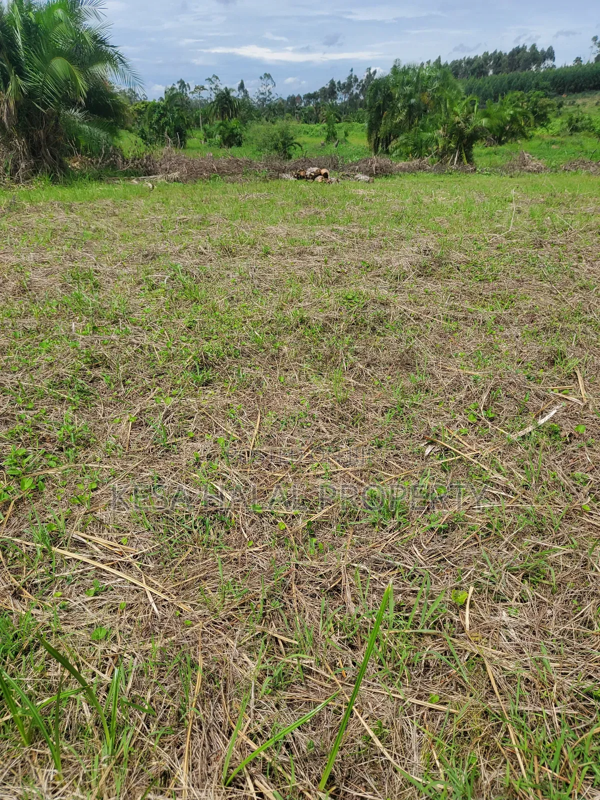 Kisenyi Land Titled on Semuto Road