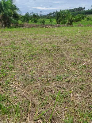 Kisenyi Land Titled on Semuto Road