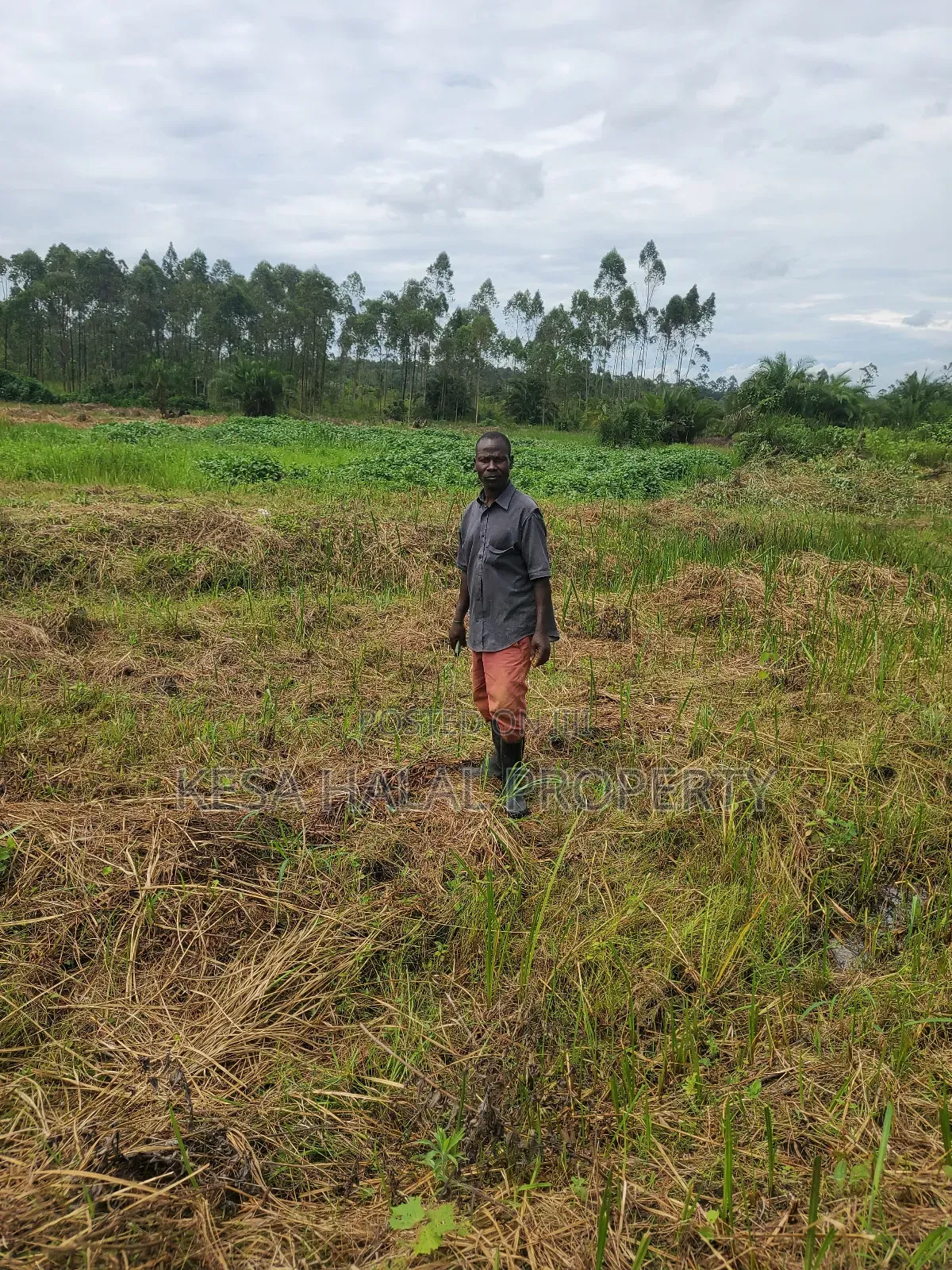 Kisenyi Land Titled on Semuto Road