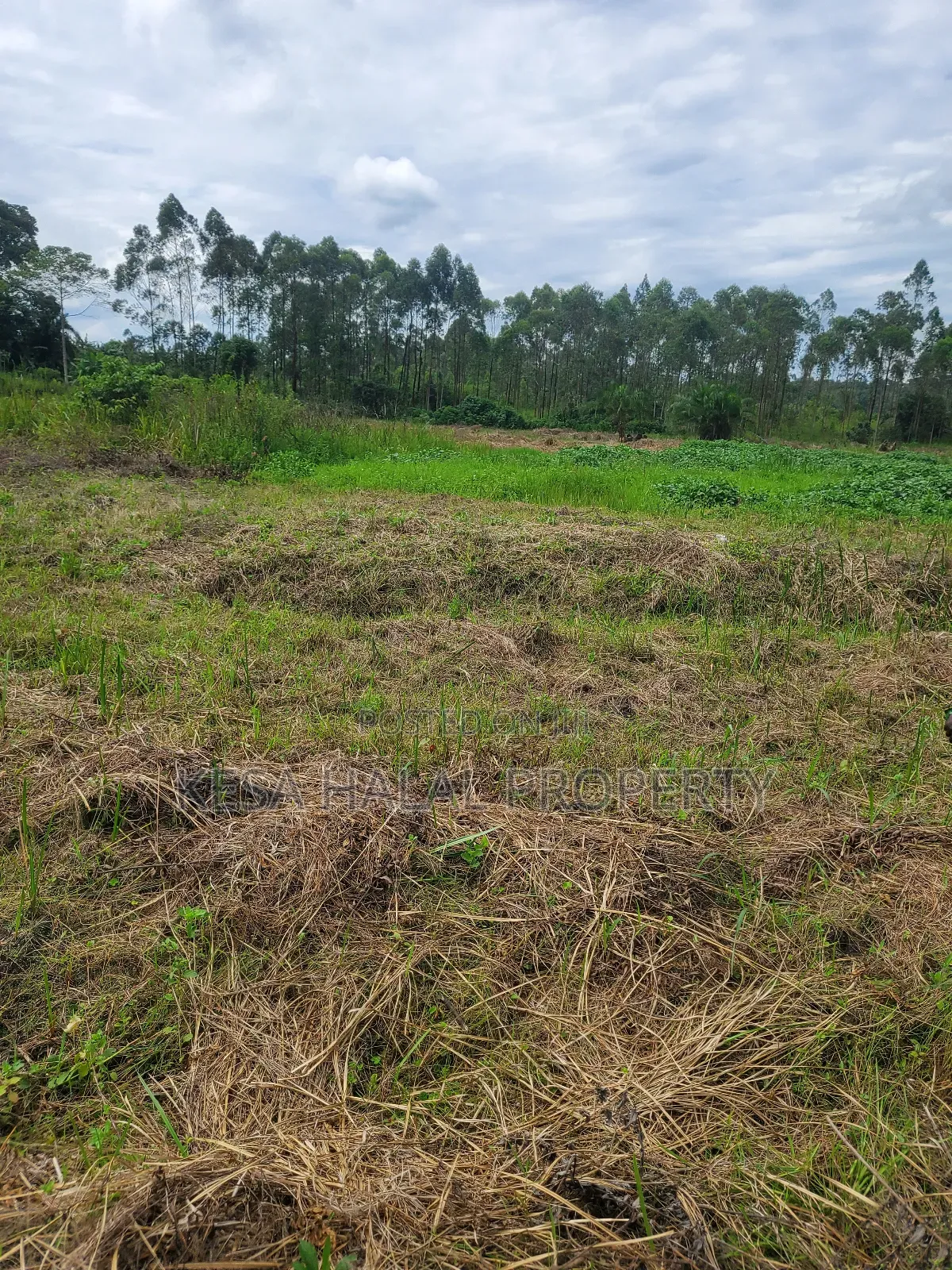 Kisenyi Land Titled on Semuto Road