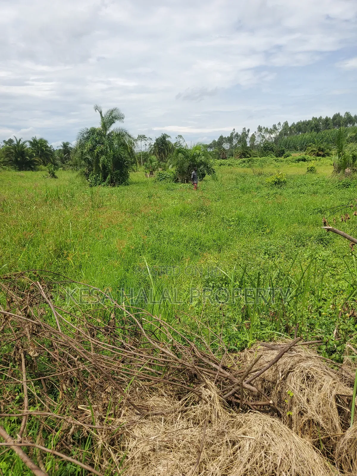 Kisenyi Land Titled on Semuto Road