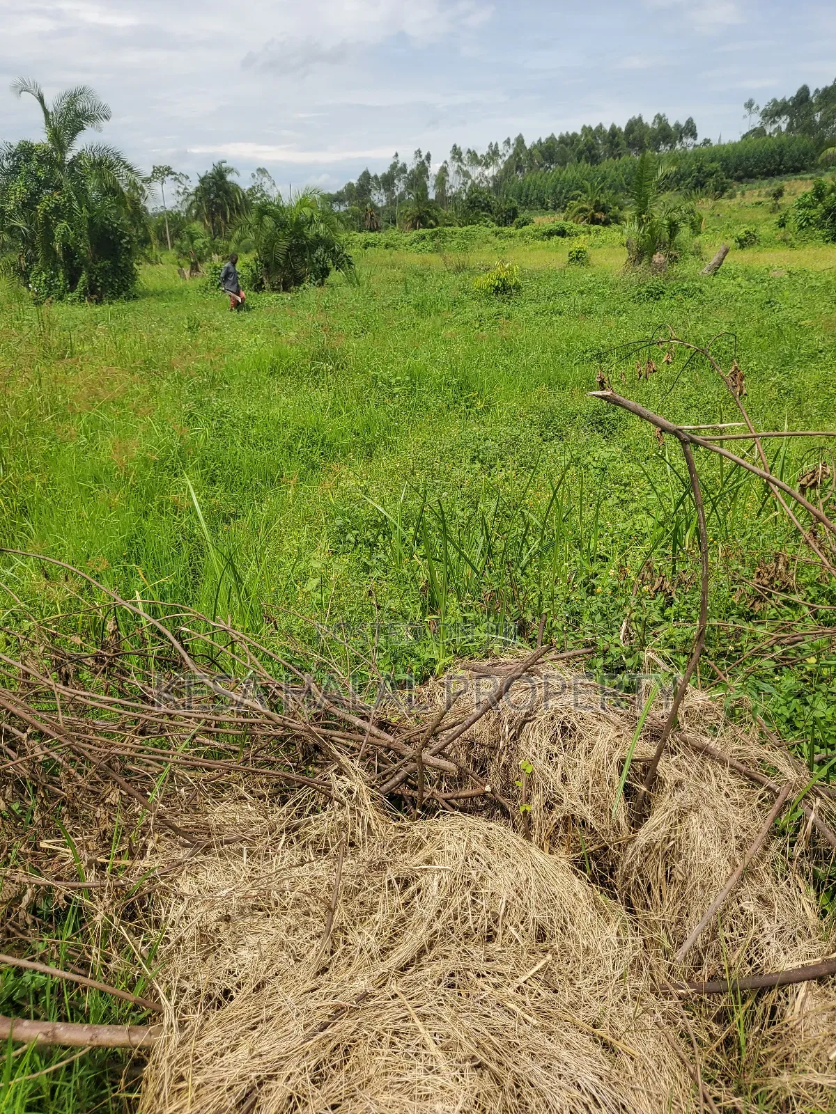 Kisenyi Land Titled on Semuto Road