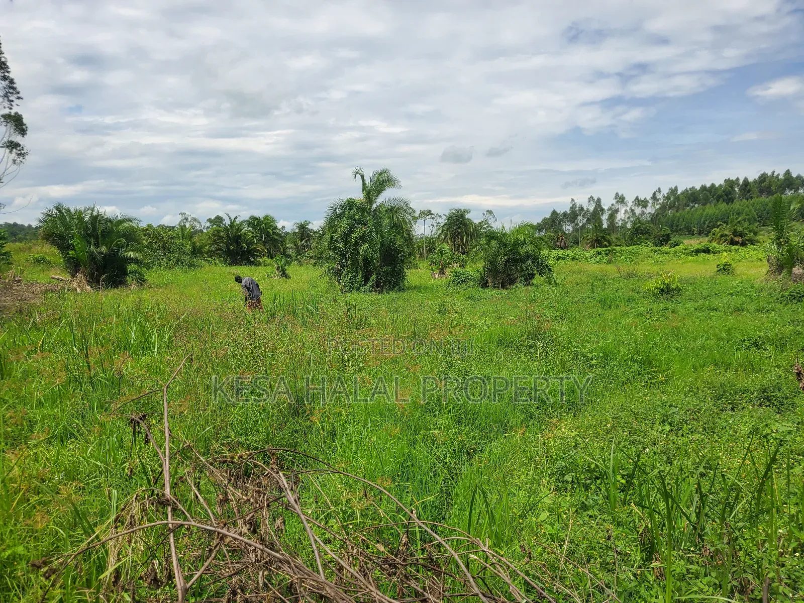 Kisenyi Land Titled on Semuto Road