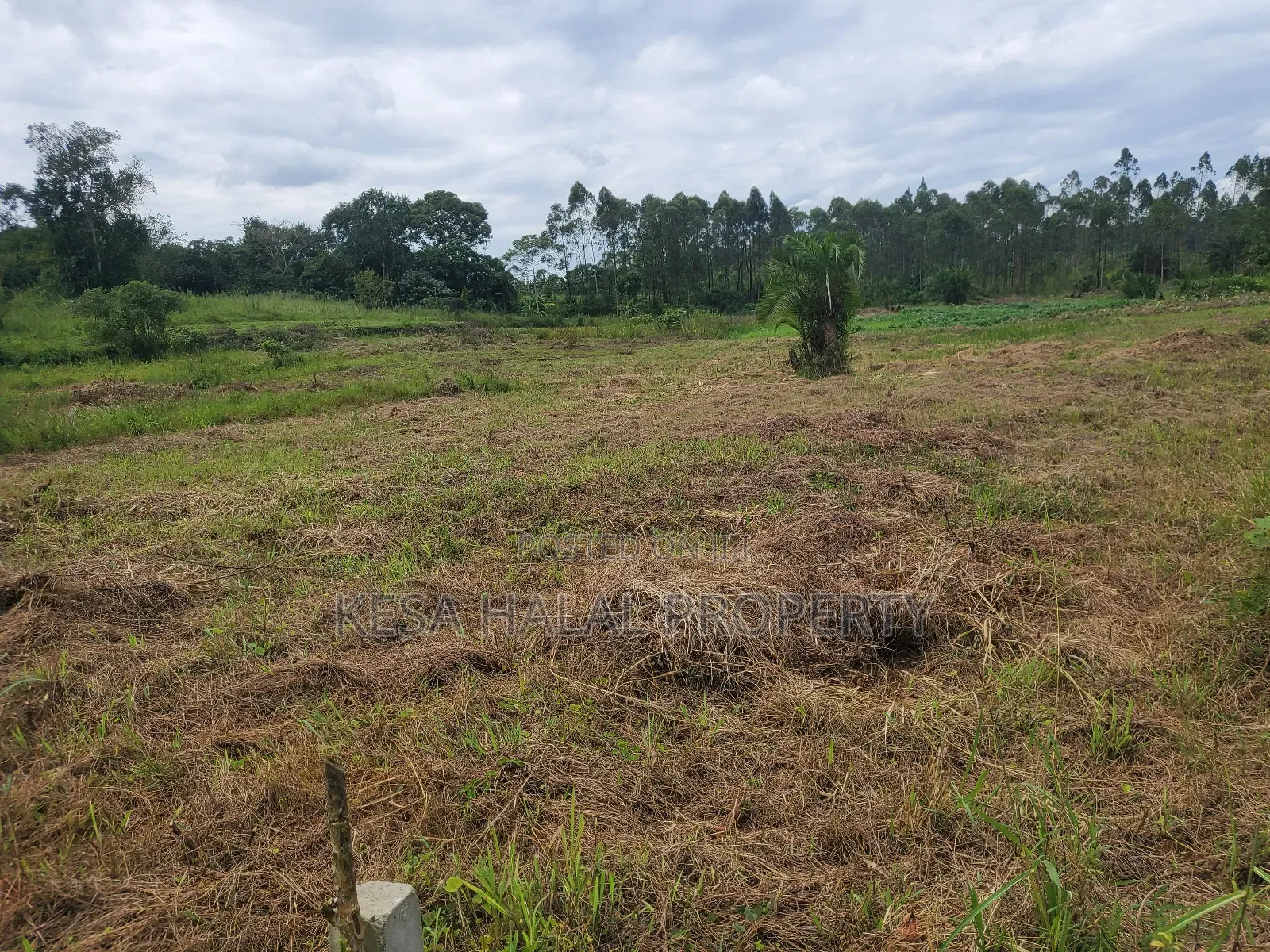 Kisenyi Land Titled on Semuto Road