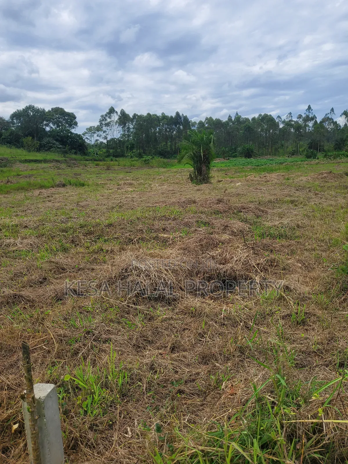 Kisenyi Land Titled on Semuto Road