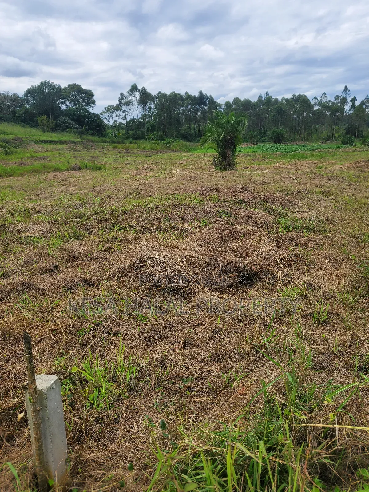 Kisenyi Land Titled on Semuto Road
