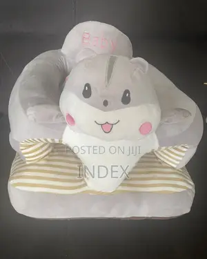 Baby Sit or Seat Trainer