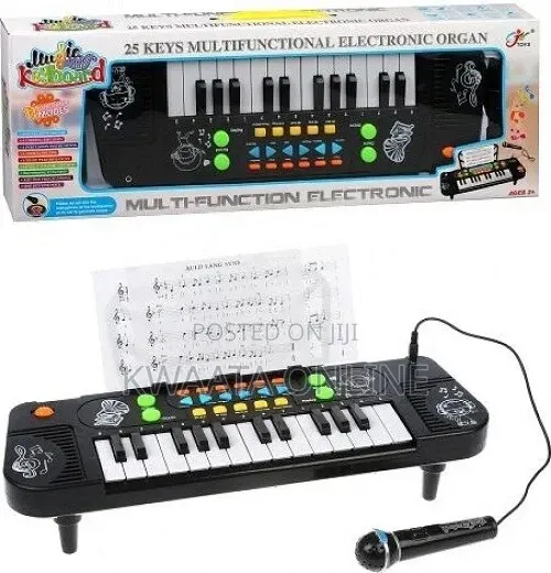 25 Keys Electronic Organ, Kids Keyboard Piano, Musical Instrument