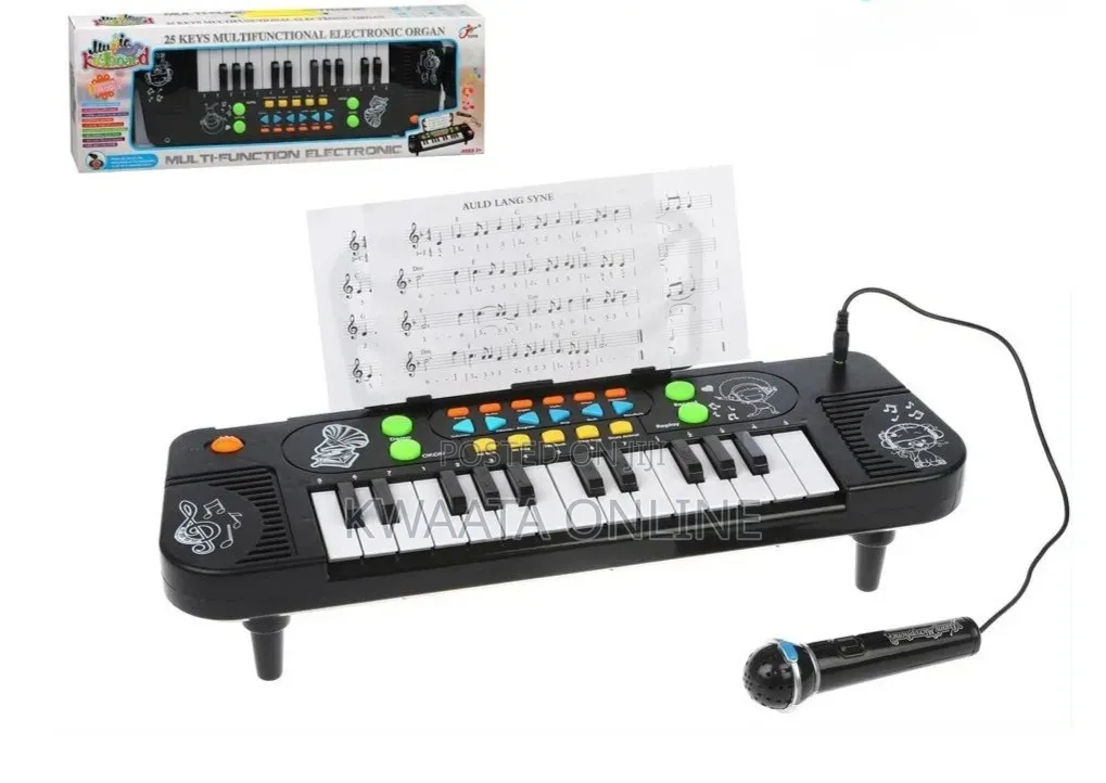25 Keys Electronic Organ, Kids Keyboard Piano, Musical Instrument