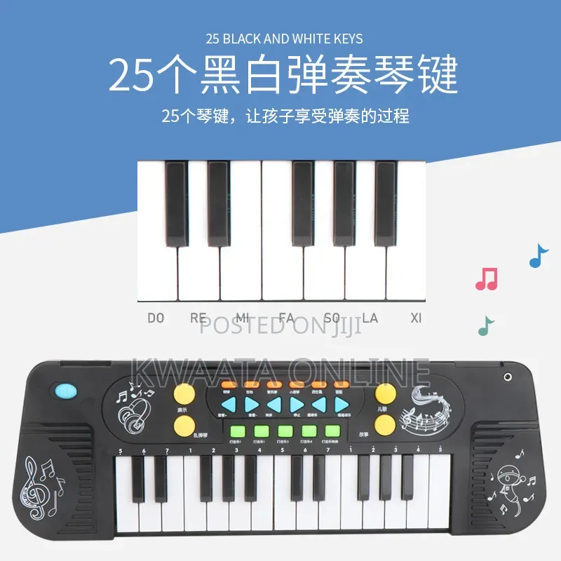 25 Keys Electronic Organ, Kids Keyboard Piano, Musical Instrument