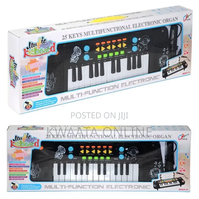 25 Keys Electronic Organ, Kids Keyboard Piano, Musical Instrument
