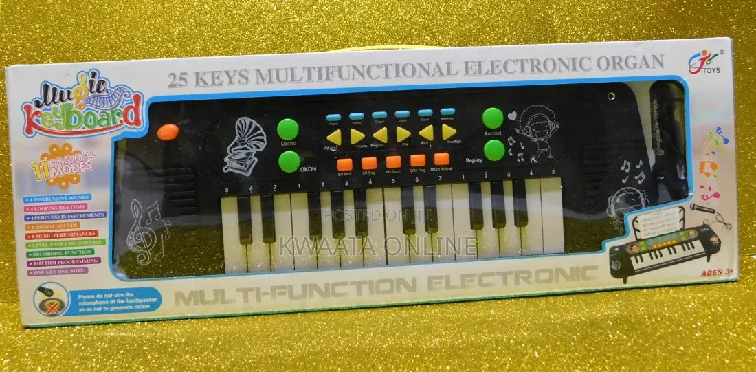 25 Keys Electronic Organ, Kids Keyboard Piano, Musical Instrument