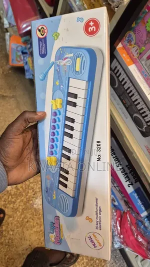 25 Keys Kids Musical Keyboard Piano Toy With Microphone