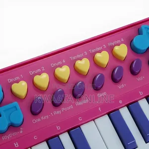 25 Keys Kids Musical Keyboard Piano Toy With Microphone