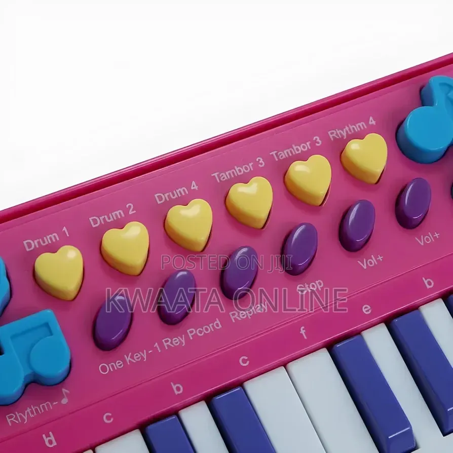 25 Keys Kids Musical Keyboard Piano Toy With Microphone