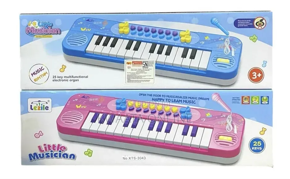 25 Keys Kids Musical Keyboard Piano Toy With Microphone