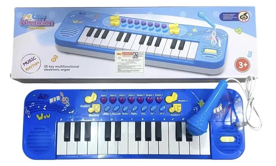 25 Keys Kids Musical Keyboard Piano Toy With Microphone