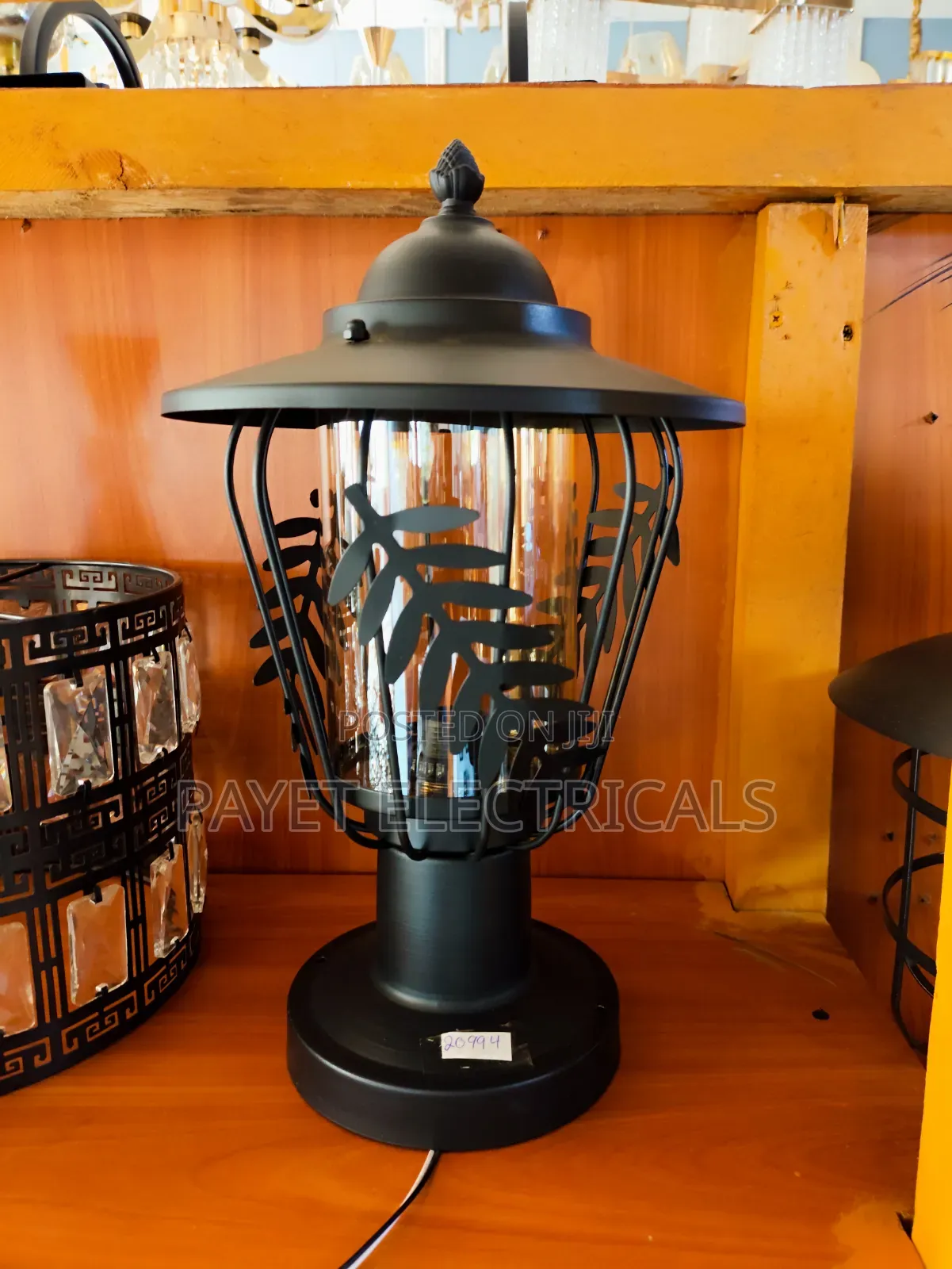 Outdoor Gate and Compound Light