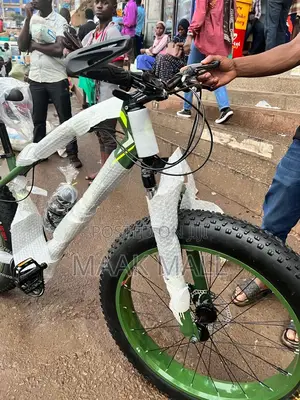 Brand New Big Tyre Bike