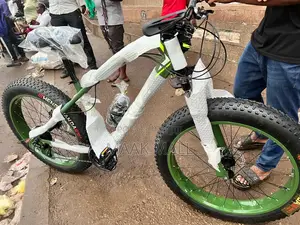 Brand New Big Tyre Bike