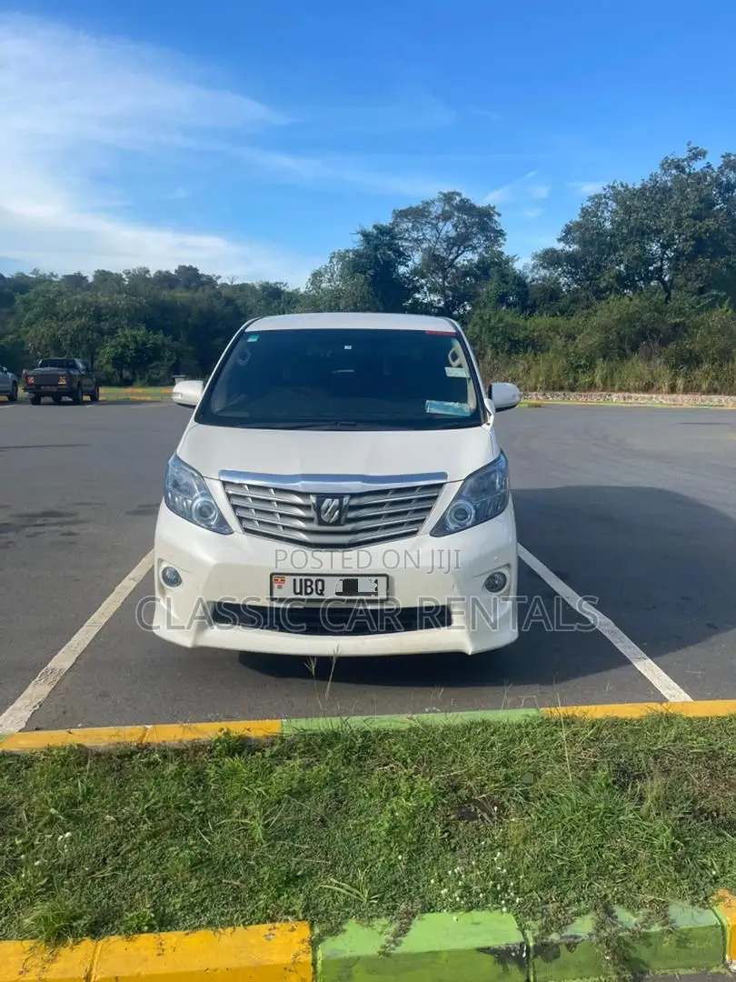 Toyota Alphards Available for Hire